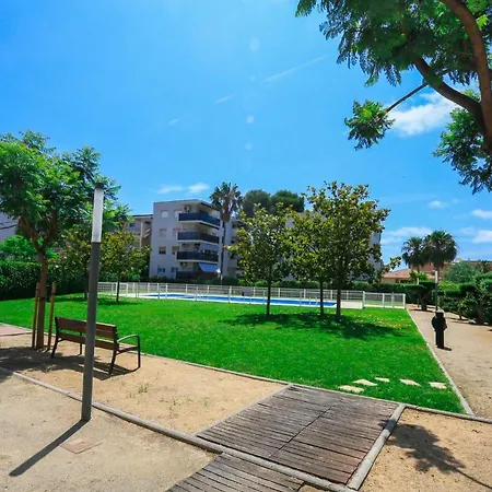Goleta - Only Families